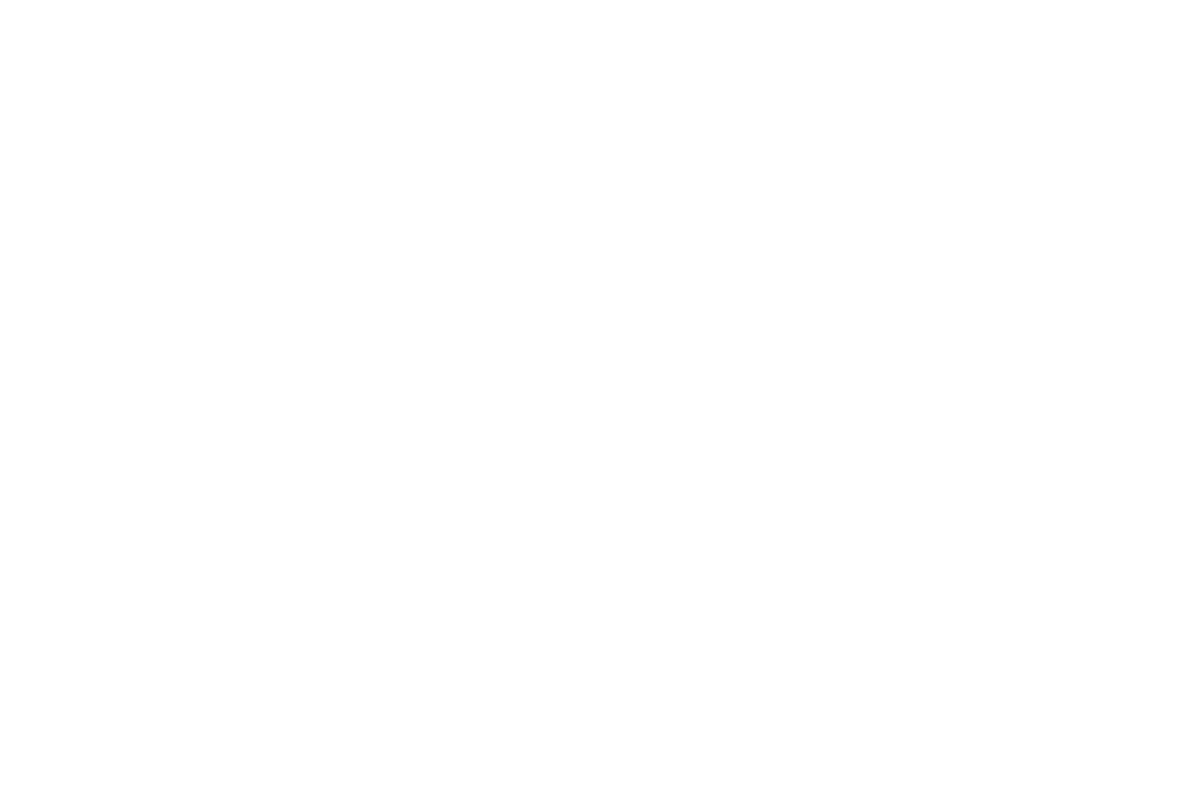 Official Selection — Las Vegas International Film & Screenwriting Festival